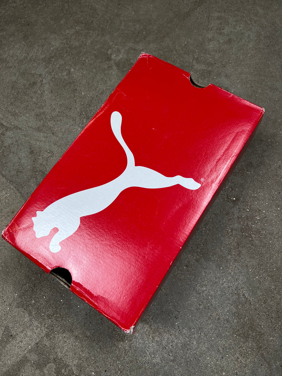 Puma Sneakers (43)
